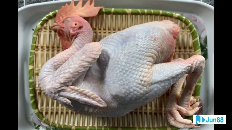 Gà đang chạy trốn với rợn người