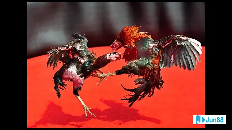 Lối đá mé đẹp tự nhiên