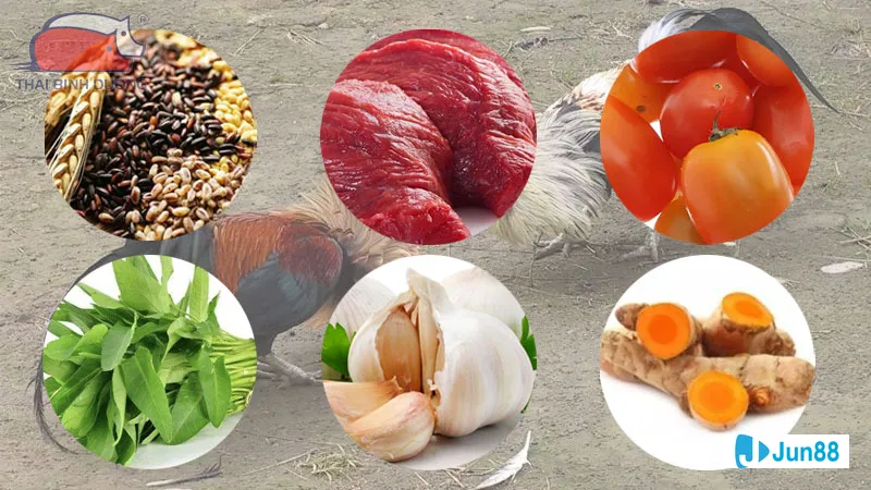 Dấu hiệu nhận biết gà bị bệnh